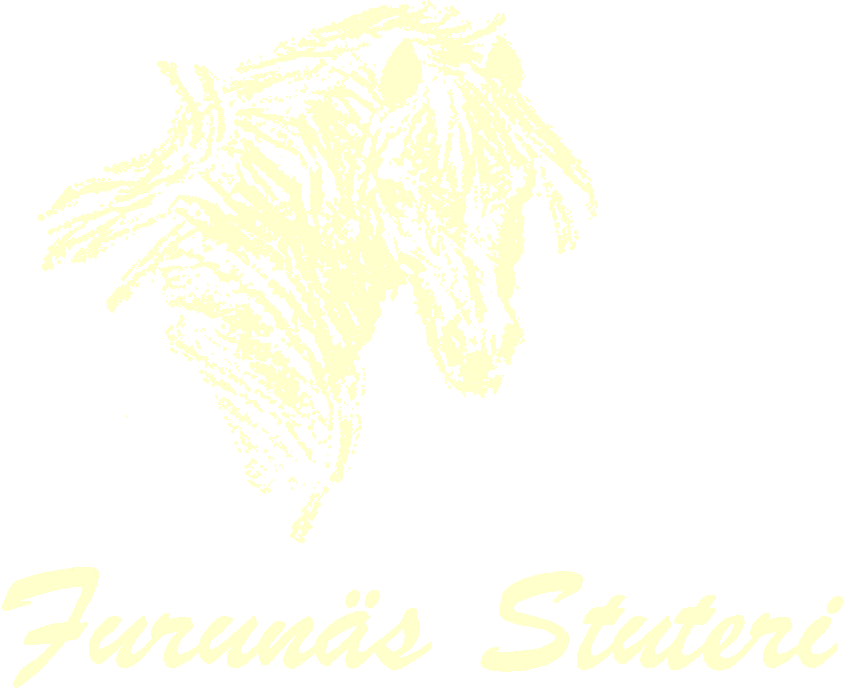 Furunäs Stuteri